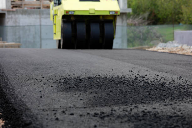 Best Driveway Paving Contractor  in Ripley, WV
