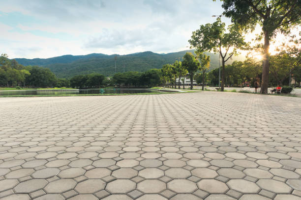 Best Professional Driveway Pavers  in Ripley, WV