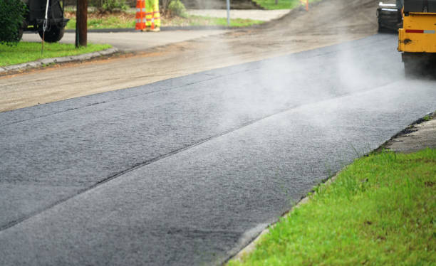Best Local Driveway Pavers  in Ripley, WV